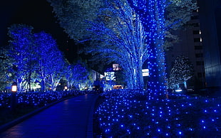 blue LED garden light, city, cityscape, blue, lights