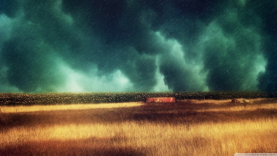 grass bireld painting, landscape, clouds, sky, field HD wallpaper