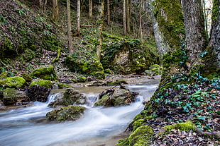 time-lapse photography of body of water between rocks and trees HD wallpaper