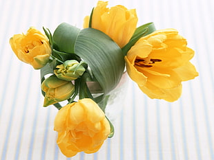 selective focus photography of yellow Tulip flower arrangement