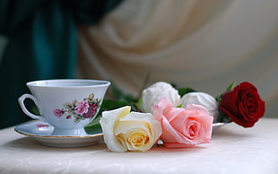three red, pink, and yellow roses besides teacup