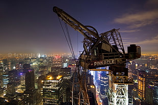 gray Pinnacle crane, cityscape, cranes (machine), construction site