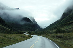 road, fog, foggy, curves HD wallpaper