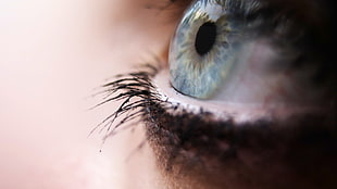 close up photography of blue human eye and eyelashes with mascara