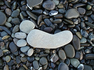 Pebbles,  Stones,  Foot HD wallpaper