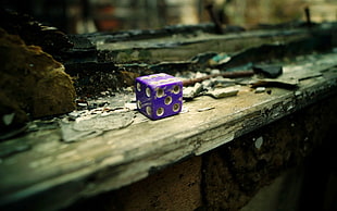 purple dice, old, ruin, abandoned, dice