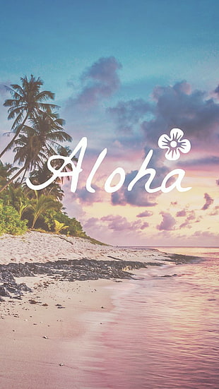 Aloha beach during daytime