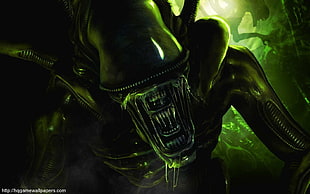 Alien Xenomorph poster, Alien (movie), Xenomorph HD wallpaper