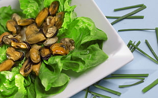 cooked shell on green leaf vegetable
