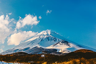 photo of a snowy mountain near trees