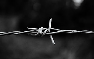 grayscale photo of barb wire