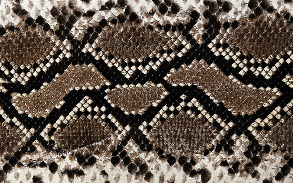 snakeskin pattern HD wallpaper