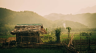 brown wooden house, hut, jungle, rice paddy, Vietnam