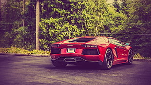 red sports car, car, Lamborghini HD wallpaper