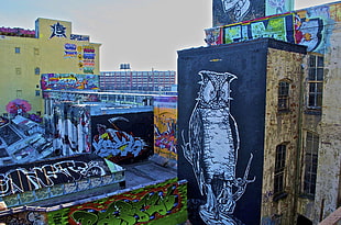 white hawk mural, graffiti, owl, building, rooftops