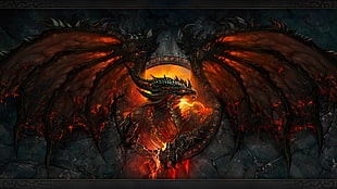 Dragon illustration HD wallpaper