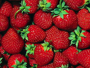 photography of red strawberries HD wallpaper