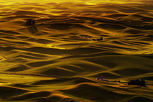 rippling body of water during sundown, golden