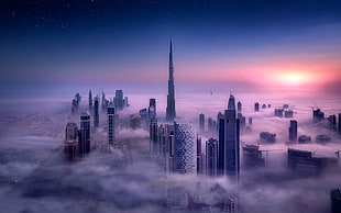 buildings surrounded by fog
