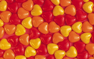 closeup photo of heart-shaped pebbles HD wallpaper