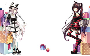 two white and black-haired girl anime characters