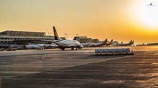 white and black airplane, airport, aircraft, sunset, Stuttgart