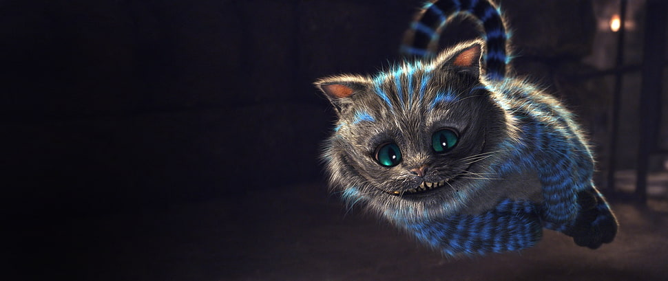 gray and blue kitten, Cheshire Cat, cat, Alice in Wonderland, Wonderland HD wallpaper
