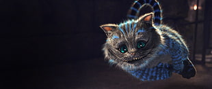 gray and blue kitten, Cheshire Cat, cat, Alice in Wonderland, Wonderland