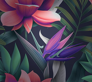 purple birds of paradise flower painting HD wallpaper