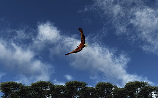 person showing American Eagle