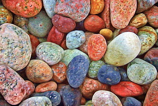 assorted color rocks