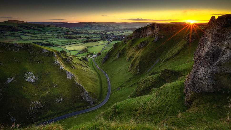 green grasses, landscape, sunset, road HD wallpaper