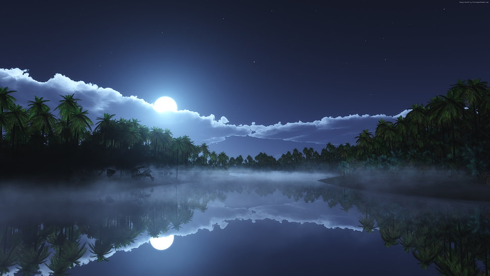 body of water with mist during nighttime HD wallpaper