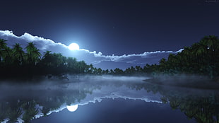 body of water with mist during nighttime
