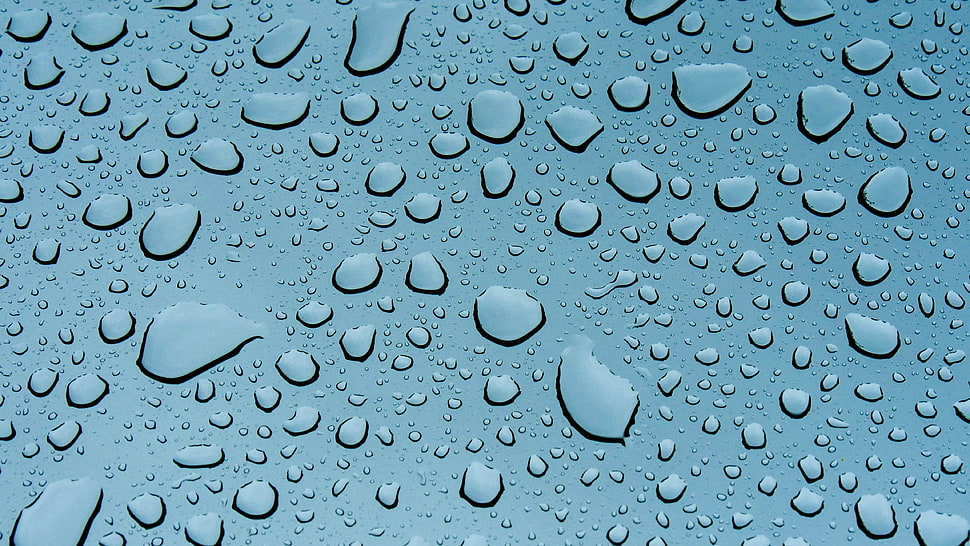 rain droplets, Drops, Closeup, Surface HD wallpaper