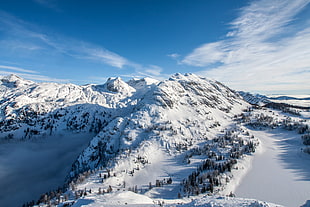 white and black mountain range during snow season
