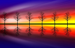 six leafless trees, trees, colorful, landscape, Photoshop