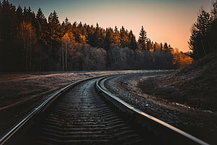 black train railings, railway, railroad track, forest, nature HD wallpaper