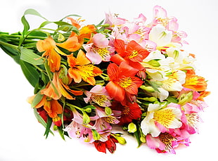 bouquet of assorted color flowers