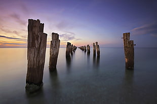 brown wooden post on body of water under clear blue sky, clifton springs HD wallpaper