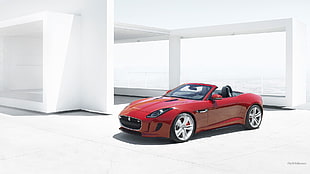 red convertible car, Jaguar F-Type, red cars, vehicle, Jaguar (car)