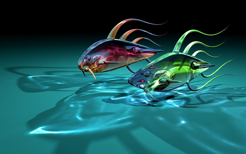 two green and red fish graphics HD wallpaper
