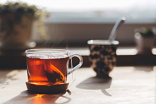 clear glass teacup, Tea, Cup, Steam HD wallpaper