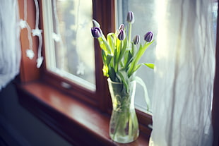 green floral plant in clear glass flower vase near window panel during daytime