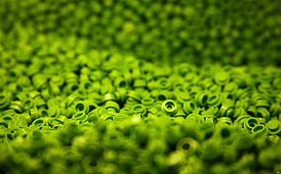 close-up photo of green tools HD wallpaper