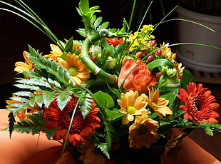 bouquet of red and orange flowers