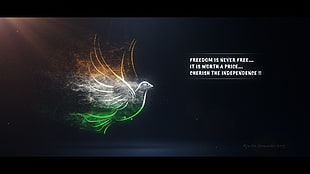 white and green dove illustration, dove, abstract, peace, birds HD wallpaper