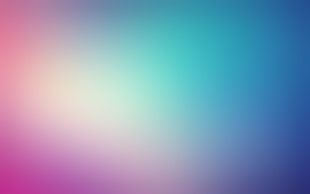 multicolored illustration