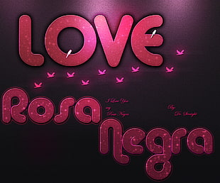 love rosa negra text, celebrity, romantic HD wallpaper