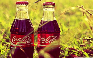 two Coca-Cola bottles, Coca-Cola, bottles, grass